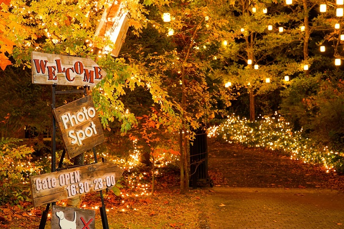 「2023 SENDAI光のページェントin泉パークタウン」